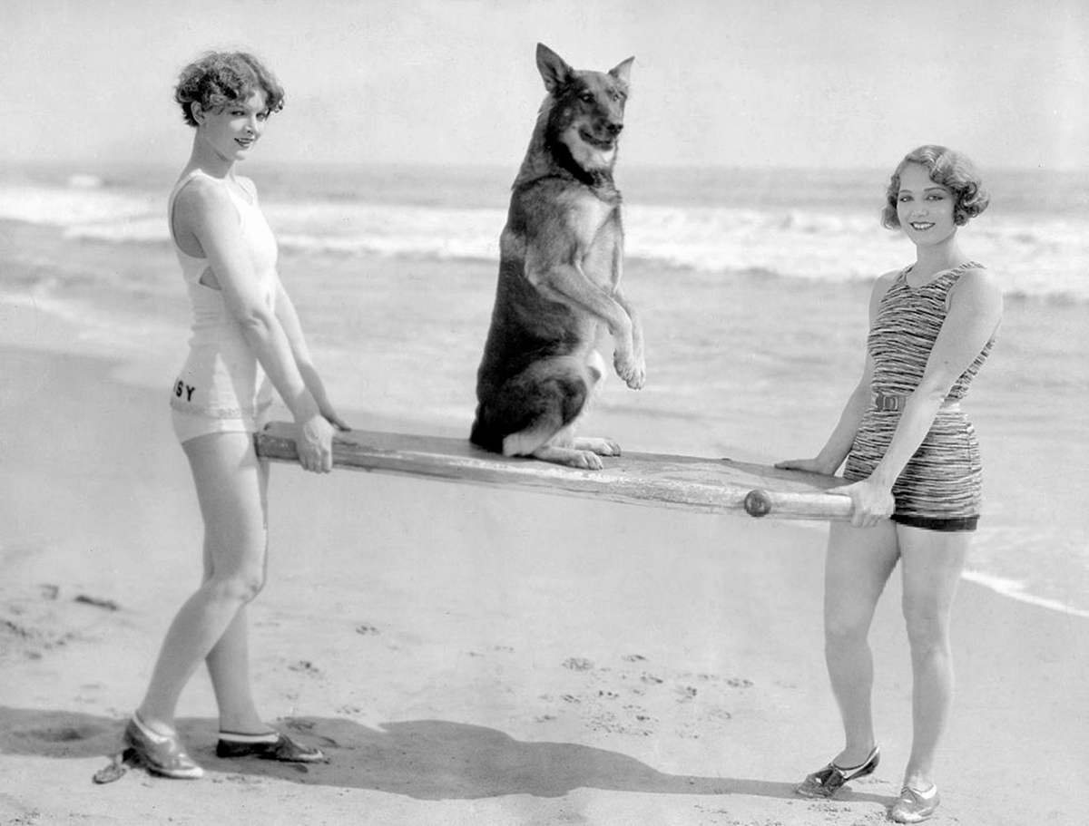 Two women in vintage swimsuits stand on a beach, smiling and holding a wooden plank. A dog sits upright on the plank between them, with the ocean and waves visible in the background.