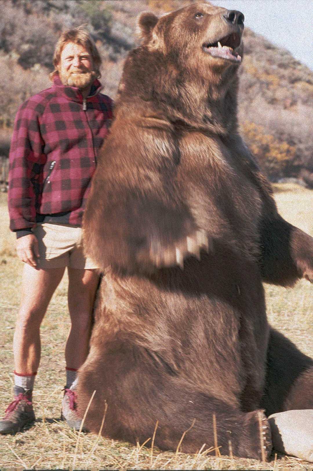 A man in a plaid jacket and shorts stands outdoors beside a very large, upright brown bear. The bear towers over the man, with its mouth slightly open and one paw raised. Grassy ground and hills are in the background.