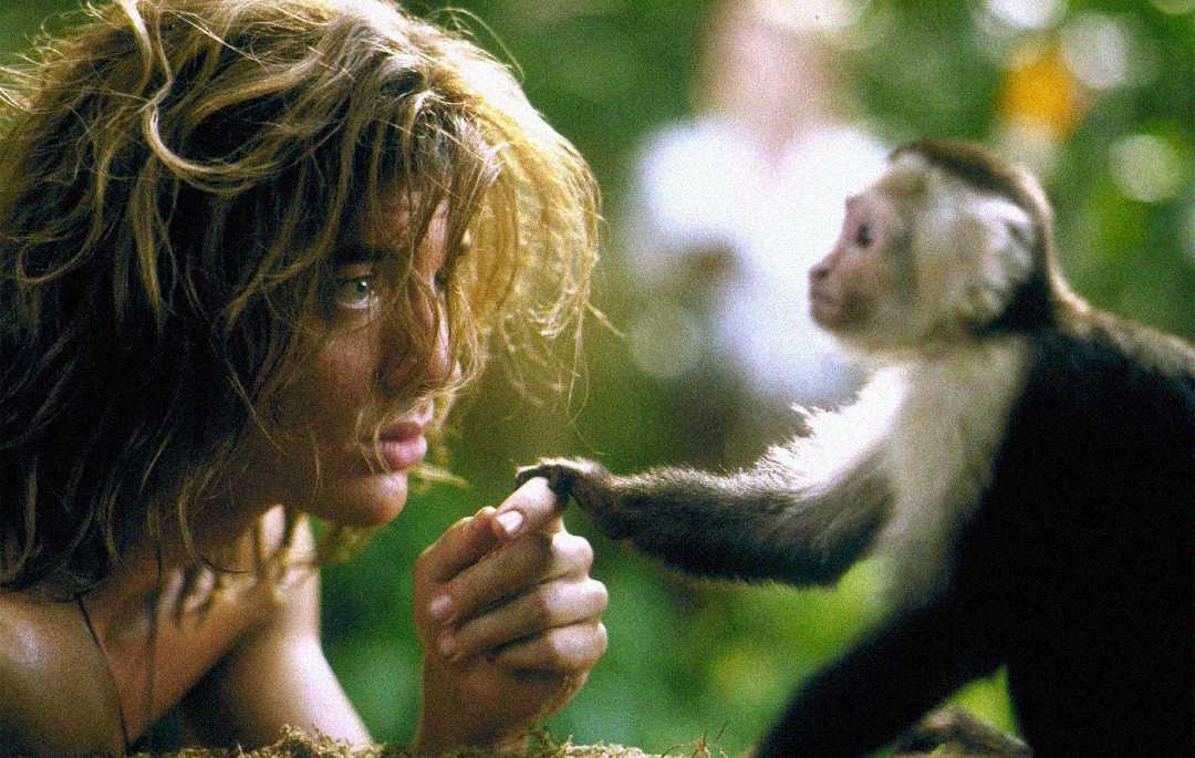 A person with long, messy hair gently holds hands with a small monkey in a lush, green outdoor setting, both gazing at each other closely.