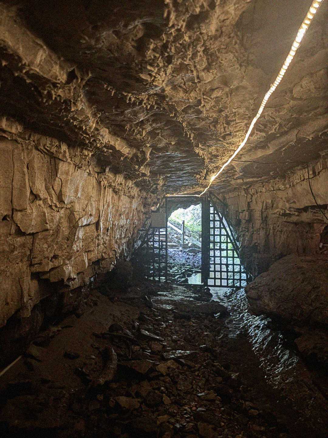 A rocky underground tunnel with uneven walls leads to a metal gate at the entrance, letting in daylight from outside. The ground is muddy and scattered with stones, and a thin light runs along the ceiling.