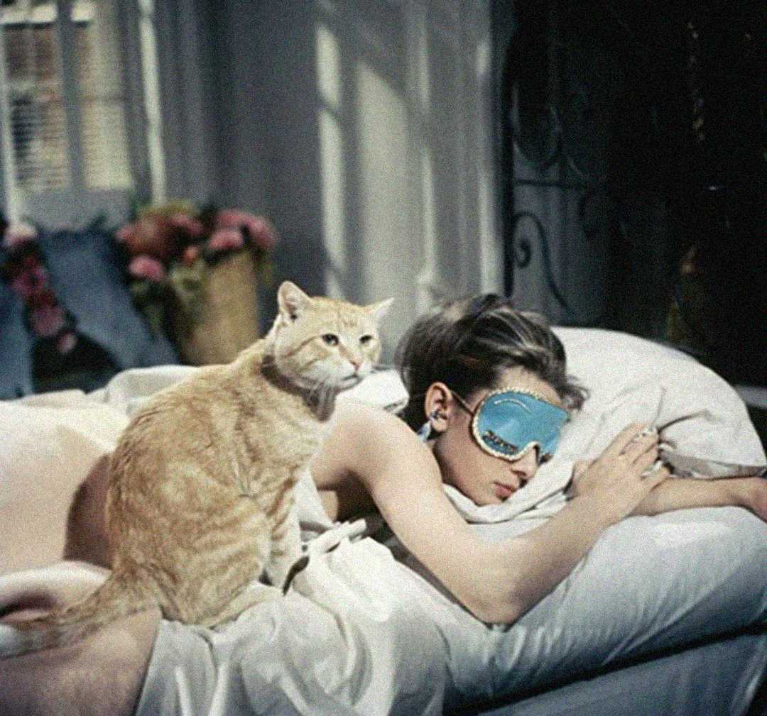A woman wearing a blue sleep mask lies asleep in bed, while an orange cat sits beside her, looking ahead. Sunlight filters through a window and flowers are visible in the background.