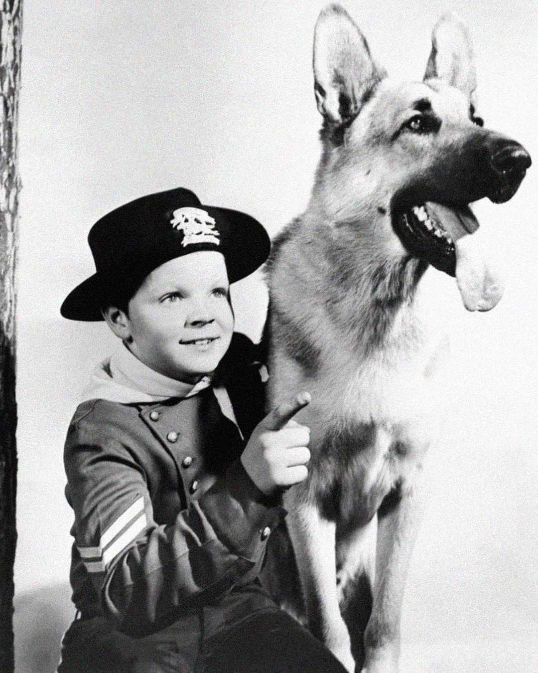 A smiling young boy wearing a hat and uniform poses next to a large German Shepherd dog. The boy is pointing upward and both are looking in the same direction. The photo is in black and white.