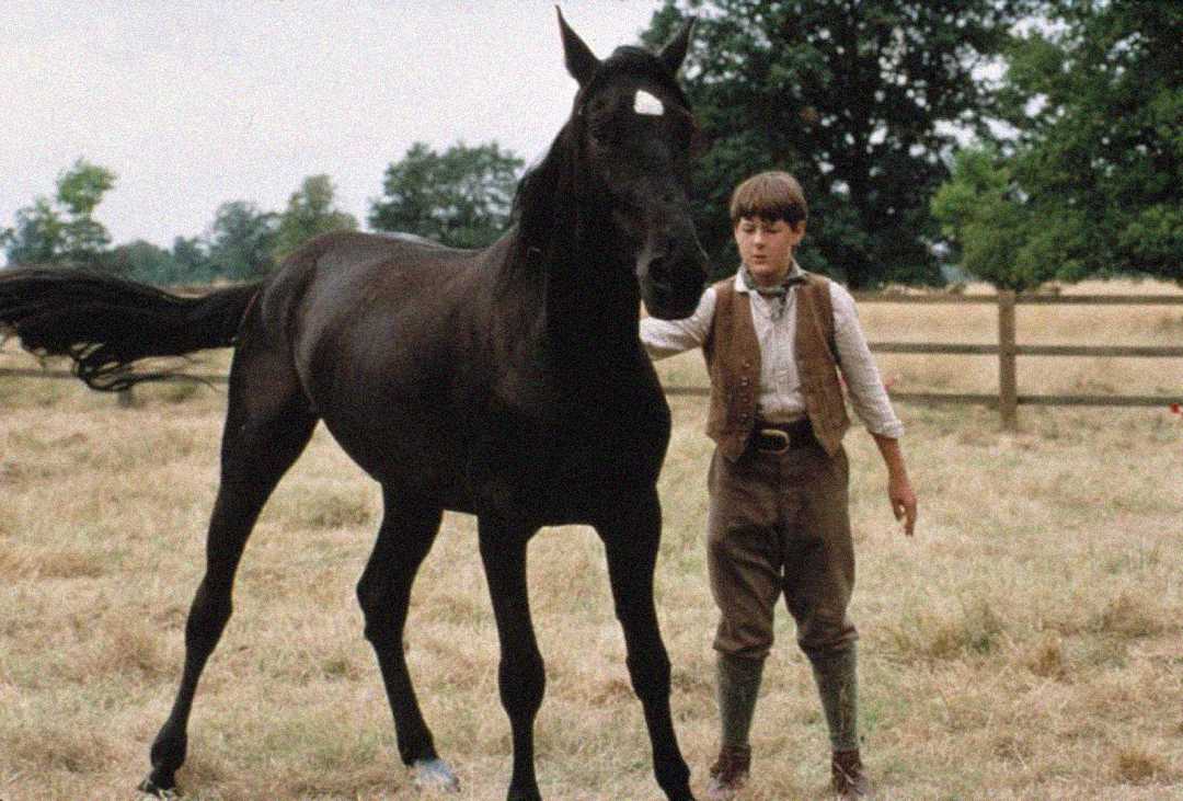 A young boy in old-fashioned clothes stands beside a black horse in a grassy field, with a wooden fence and trees in the background.