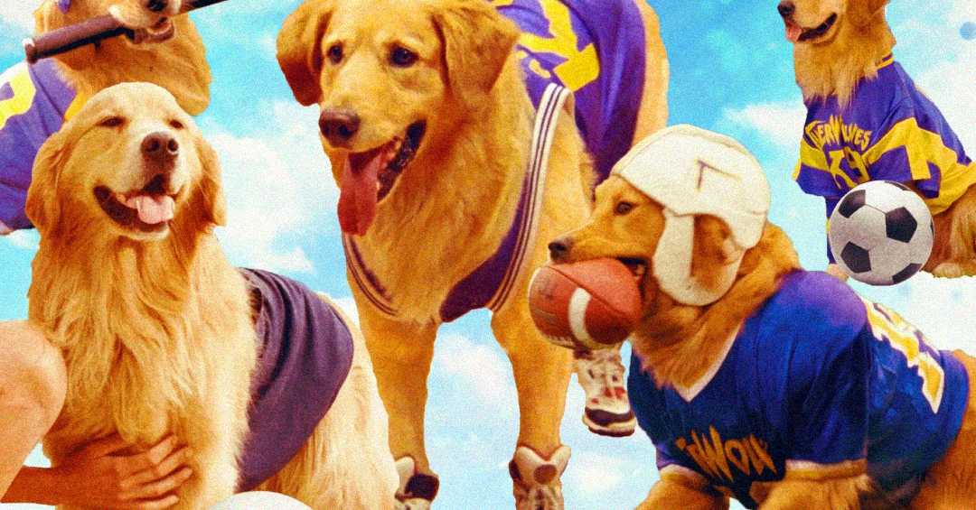 Five golden retrievers wearing colorful sports jerseys pose with various sports equipment, including a soccer ball, football, and baseball bat, against a bright blue sky background.