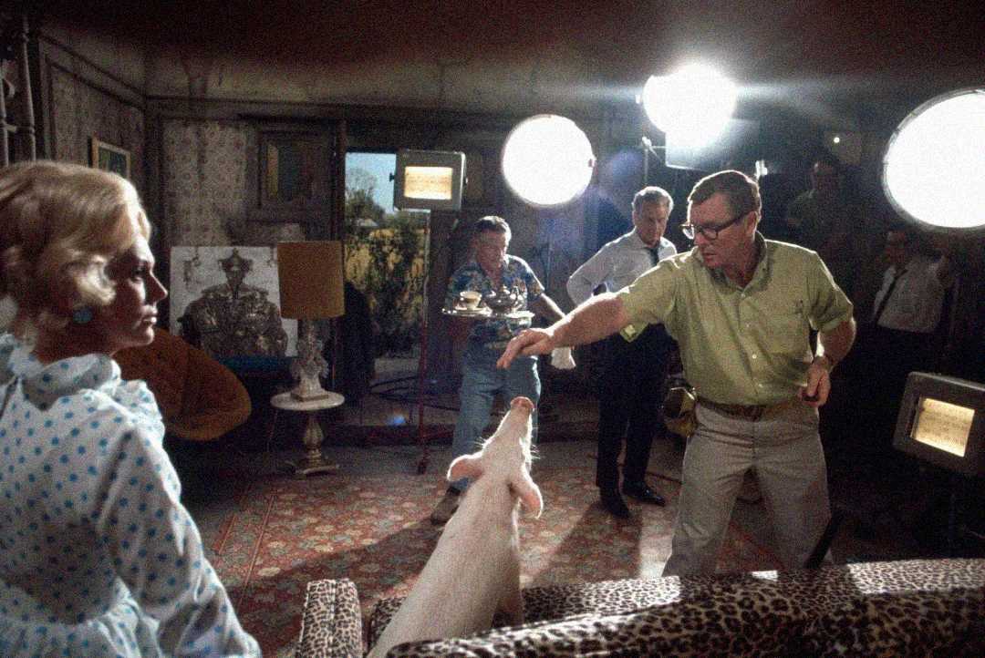 On a film set, a director gestures towards a white pig in a room decorated with vintage furniture, while a woman in a blue polka-dot dress and crew members look on under bright lights.
