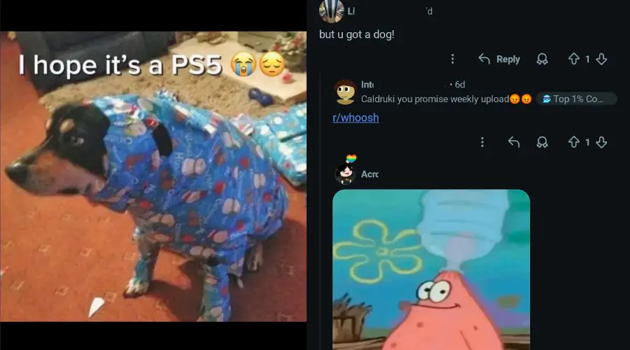 A dog wrapped in blue paw-print gift wrap sits on a carpet. The text says, "I hope it’s a PS5 😭😂." On the right, there are social media comments and a meme of Patrick from SpongeBob holding a jar.