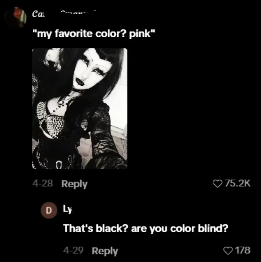 A black-and-white selfie of a person dressed in gothic attire is shown next to a comment saying, "my favorite color? pink," followed by a reply stating, "That’s black? are you color blind?