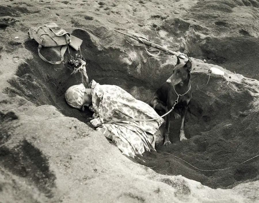 A black-and-white photo showing a soldier lying in a sandy trench with a camouflage cover and a dog on a leash sitting next to him. Equipment and a rifle are placed nearby on the sand.