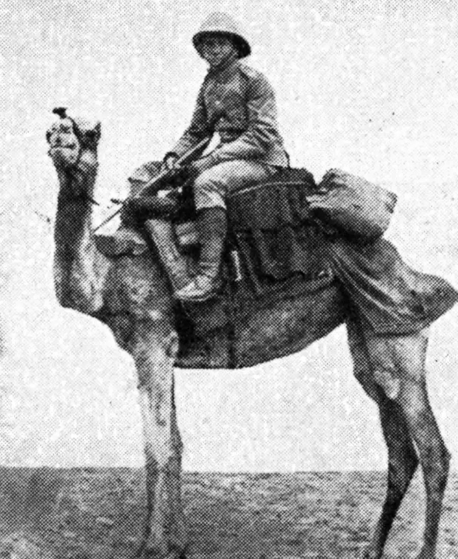 A person wearing a helmet and uniform sits on a saddled camel loaded with gear in a desert landscape, captured in a black-and-white, historical photograph.