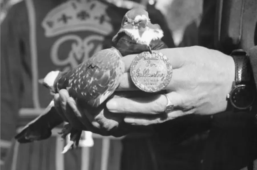 A person holds a pigeon in one hand and a round medal in the other. The medal has engraved text, and the scene appears to be an award ceremony. The image is in black and white.