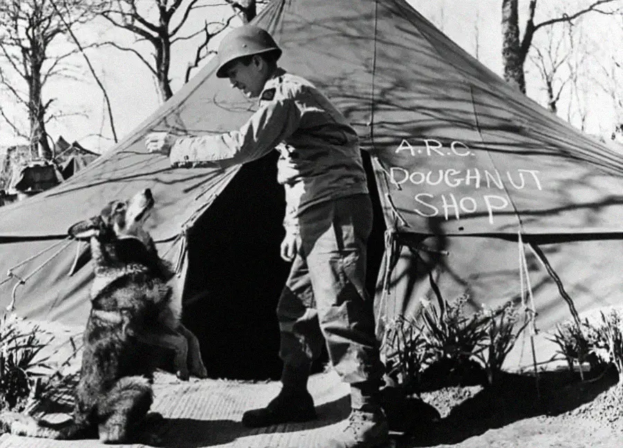 A soldier in uniform gives a treat to a sitting dog in front of a tent labeled "A.R.C. DOUGHNUT SHOP." Trees and plants surround the tent, and the scene appears to be from a historical military setting.