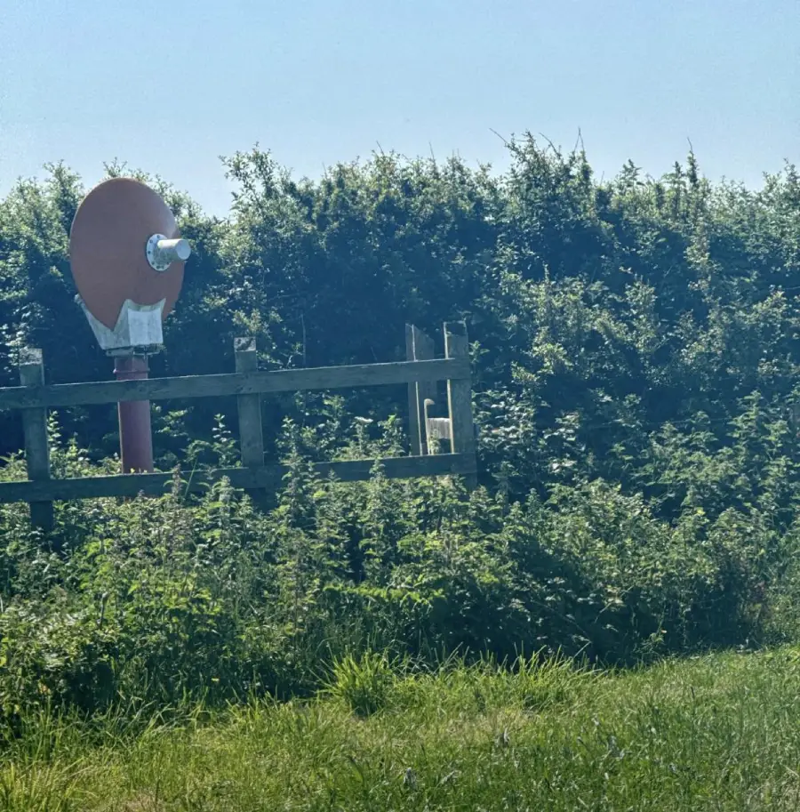 A large orange lollipop-shaped sign with a foil-wrapped section stands on a wooden post beside a lush green hedge under a clear blue sky. Tall grass and bushes surround the base of the structure.