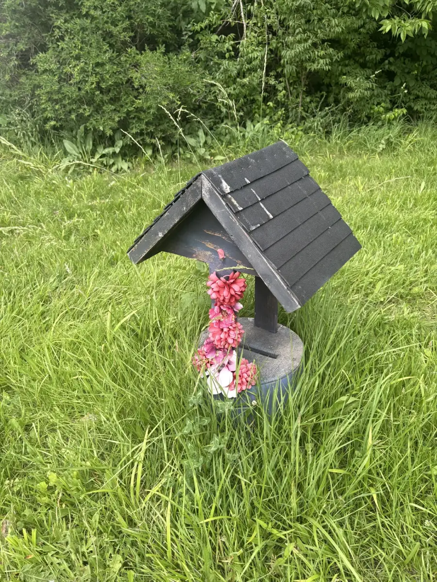 A small, black-roofed wooden structure with pink artificial flowers stands in tall grass, surrounded by dense green foliage in the background.