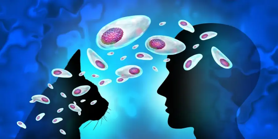 Illustration of a cat and a human silhouette facing each other, with floating microorganisms between them, suggesting the transmission of parasites or diseases. The background is blue and abstract.