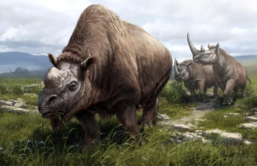 Illustration of three large, prehistoric rhinoceros-like animals grazing on grassy plains under a cloudy sky, with one in the foreground and two in the background.