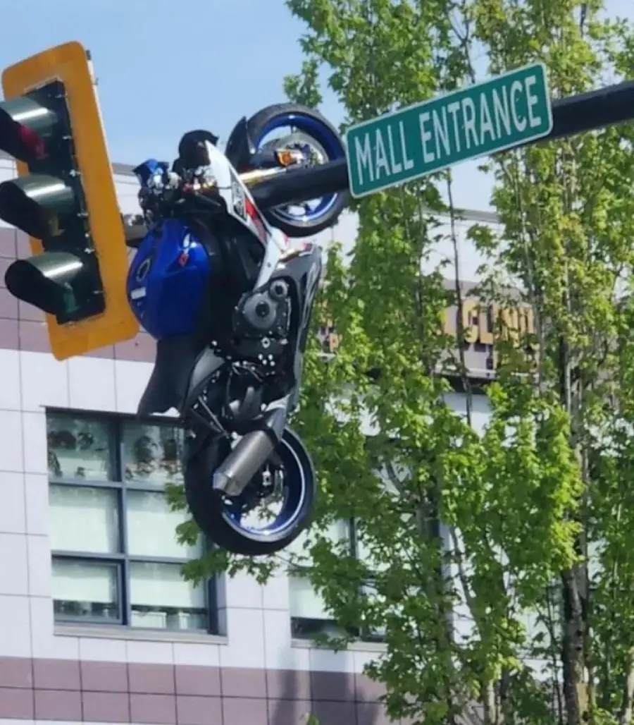 A motorcycle is suspended vertically, stuck high on a traffic light pole beside a "Mall Entrance" sign, in front of a building with windows and trees in the background.