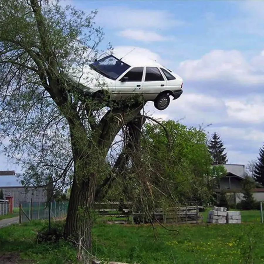 A white car is unusually stuck high in the branches of a large tree in a rural area, with houses, grass, and a blue sky with clouds in the background.