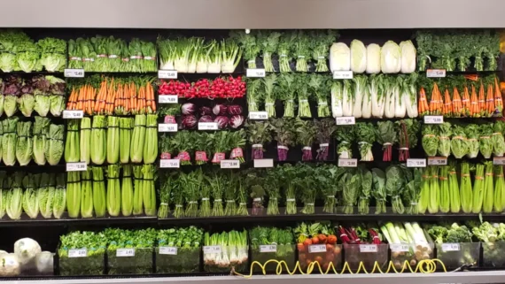 perfectly-organized-spaces-strangely-satisfying