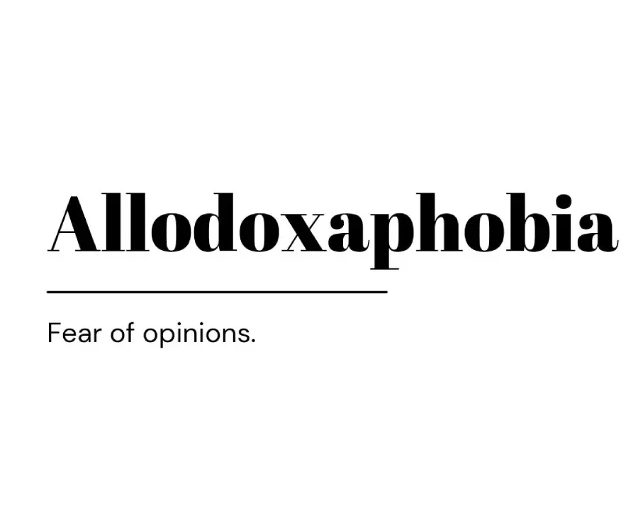 Text on a white background reads: "Allodoxaphobia" in large bold letters, with "Fear of opinions." in smaller text below and a horizontal line separating the two.
