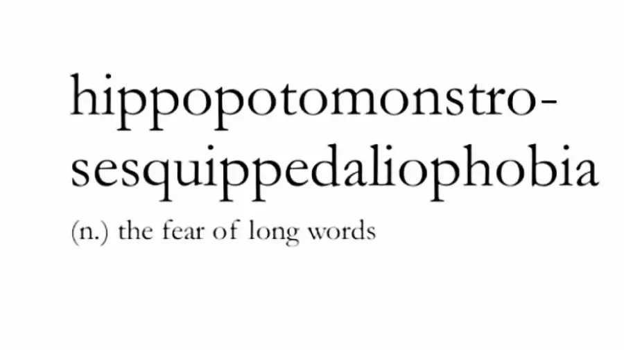 Text that reads: "hippopotomonstrosesquippedaliophobia (n.) the fear of long words" in a serif font on a plain white background.