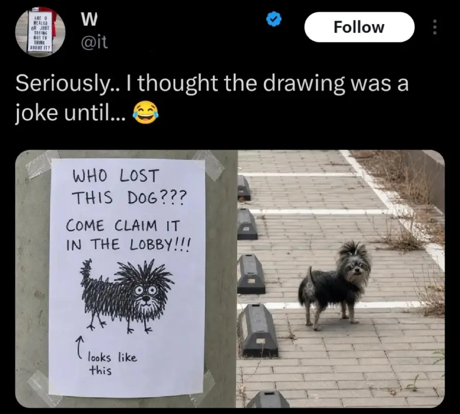 A photo shows a comically rough drawing of a scruffy dog on a "found dog" poster next to a real dog with a similarly scruffy appearance, standing in a parking lot. The drawing humorously resembles the actual dog.