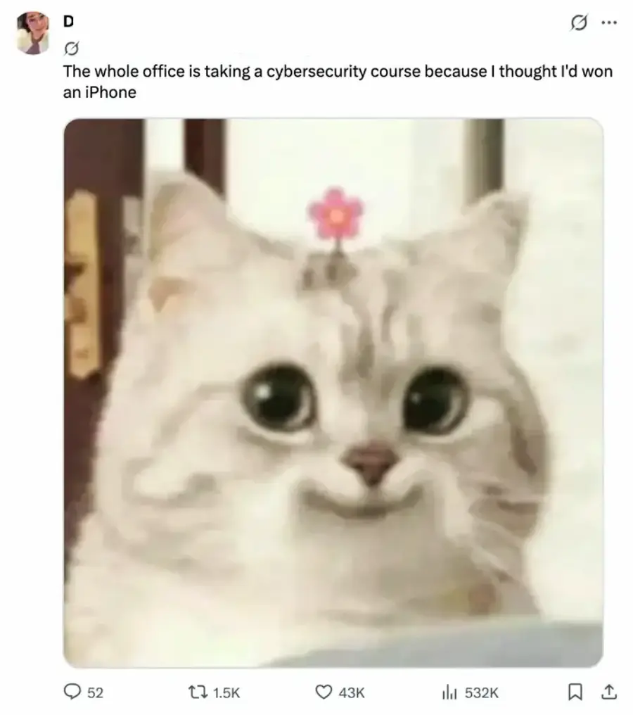 A tweet with a photo of a wide-eyed, fluffy cat and text: "The whole office is taking a cybersecurity course because I thought I'd won an iPhone." The cat looks surprised or guilty.