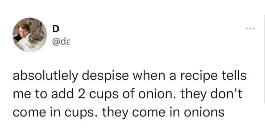 A social media post with a profile picture of a person and a cat reads: “absolutely despise when a recipe tells me to add 2 cups of onion. they don't come in cups. they come in onions.”