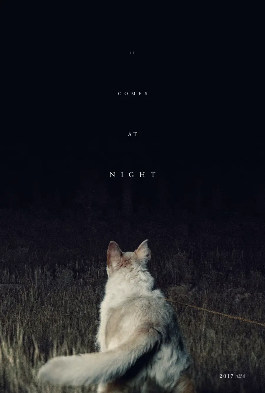 A white dog sits in a grassy field at night, facing away from the viewer toward darkness. The words "It Comes At Night" appear in the sky above. "2017" is written in the bottom right corner.