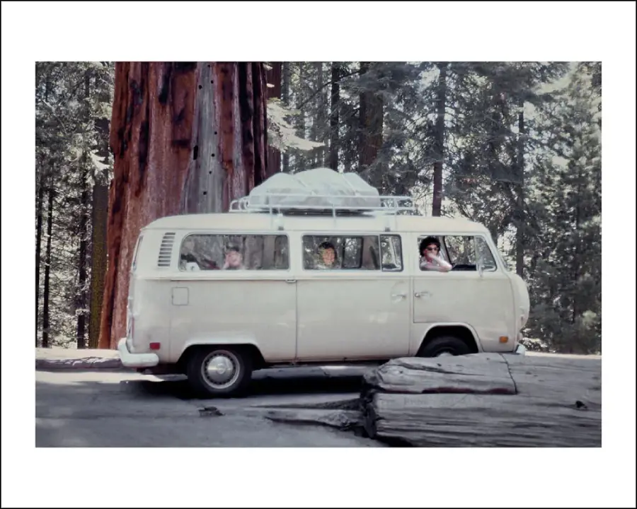 A white vintage van with people inside is parked outdoors among tall trees and large fallen logs in a forest setting.