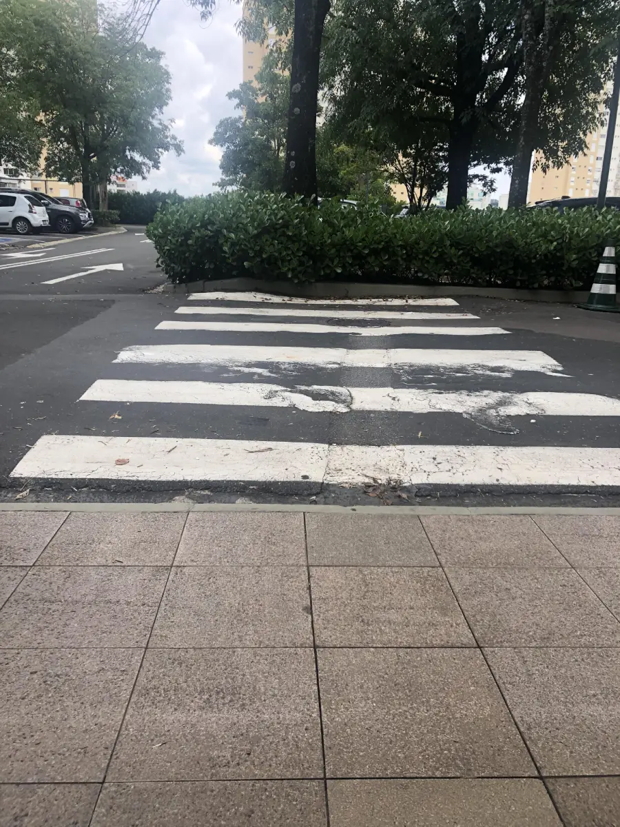 A crosswalk leads directly into a row of bushes, blocking the path. The street and parked cars are visible on the left, and trees line the background. The crosswalk paint is worn and faded.