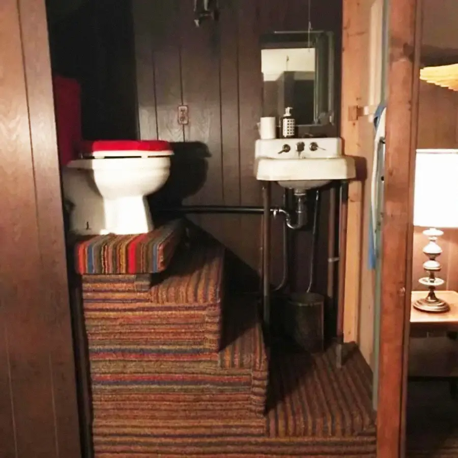 A small bathroom with dark wood-paneled walls, a toilet on a carpeted platform with striped stairs, a sink with a mirror, and a lamp visible in an adjoining room.