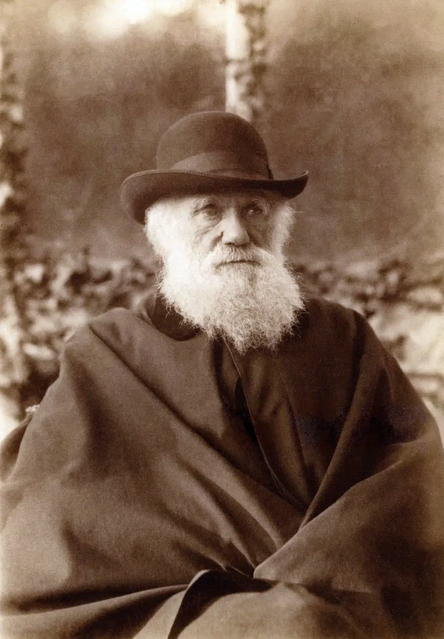 An elderly man with a long white beard, wearing a dark coat and a rounded hat, sits and looks slightly to the side. The background is blurred, emphasizing the subject’s thoughtful expression.
