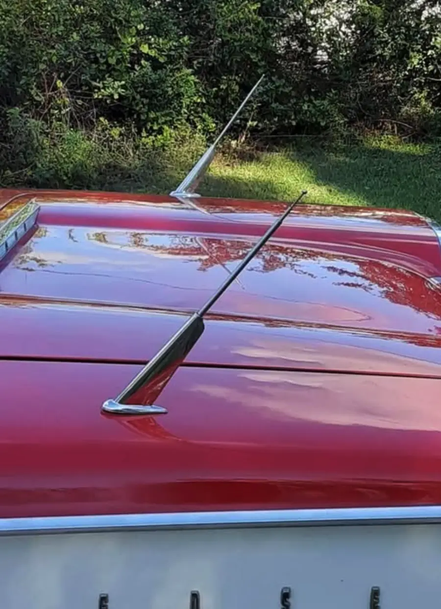 A close-up of the rear fin and antenna of a classic red car, parked on grass near bushes, with sunlight reflecting off the shiny surface.