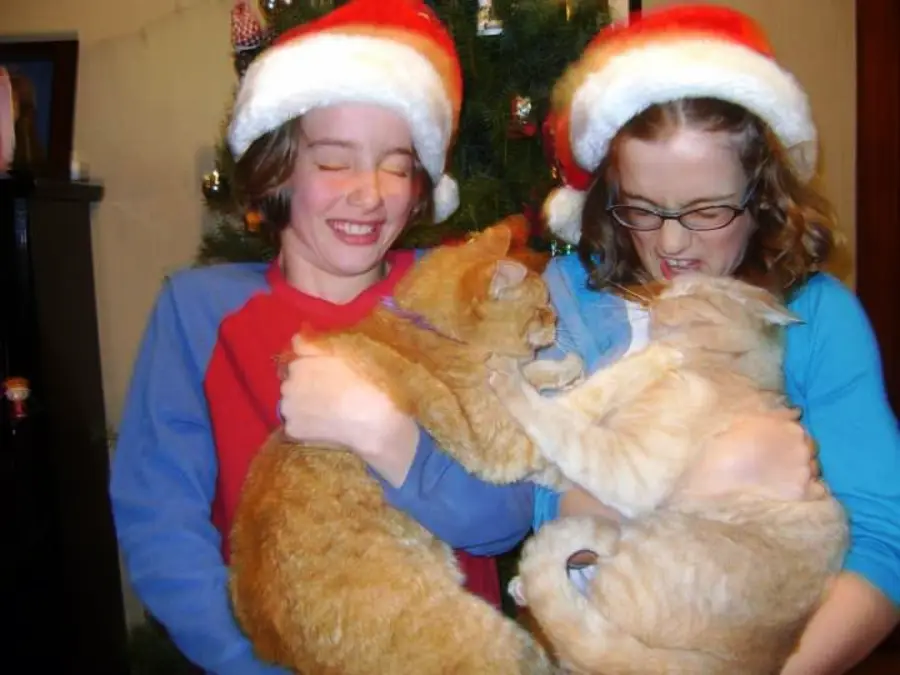 Two children wearing Santa hats smile and squint as they hold two orange cats that appear to be playfully wrestling in front of a decorated Christmas tree.