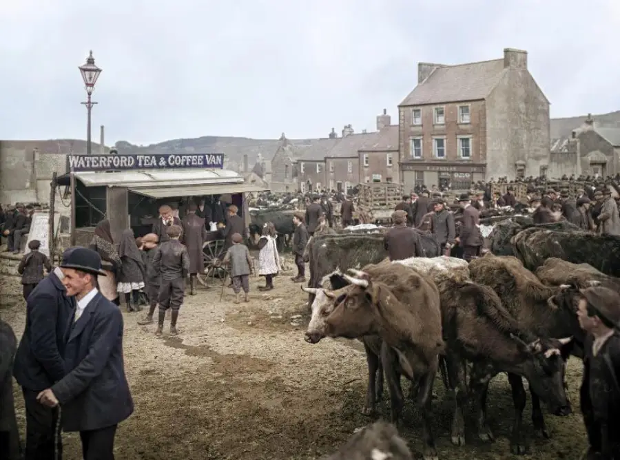 A bustling old market scene shows people in period clothing among cows. A "Waterford Tea & Coffee Van" serves drinks. Stone buildings and a crowd fill the background.