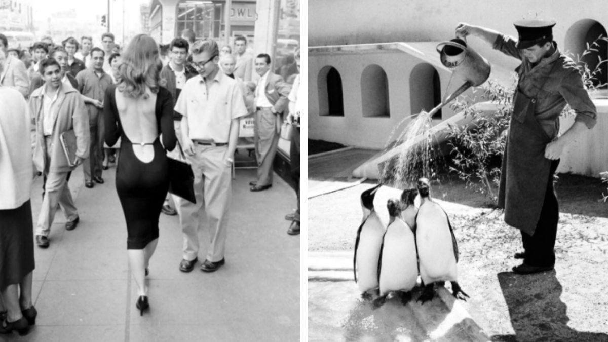 25 Images That Show the Best of the 1950s