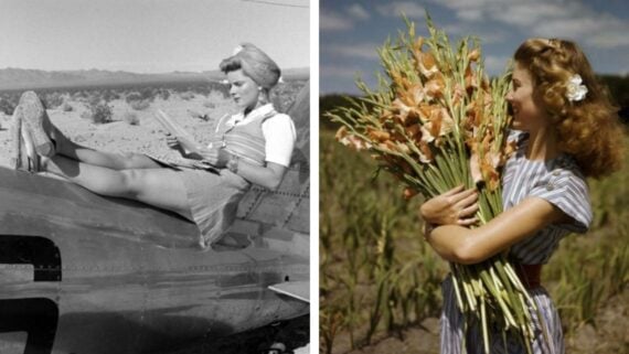 Left: Woman reading on an airplane wing, desert in the background. Right: Woman in a striped dress holds a bouquet of flowers in a field, smiling and looking to the side.