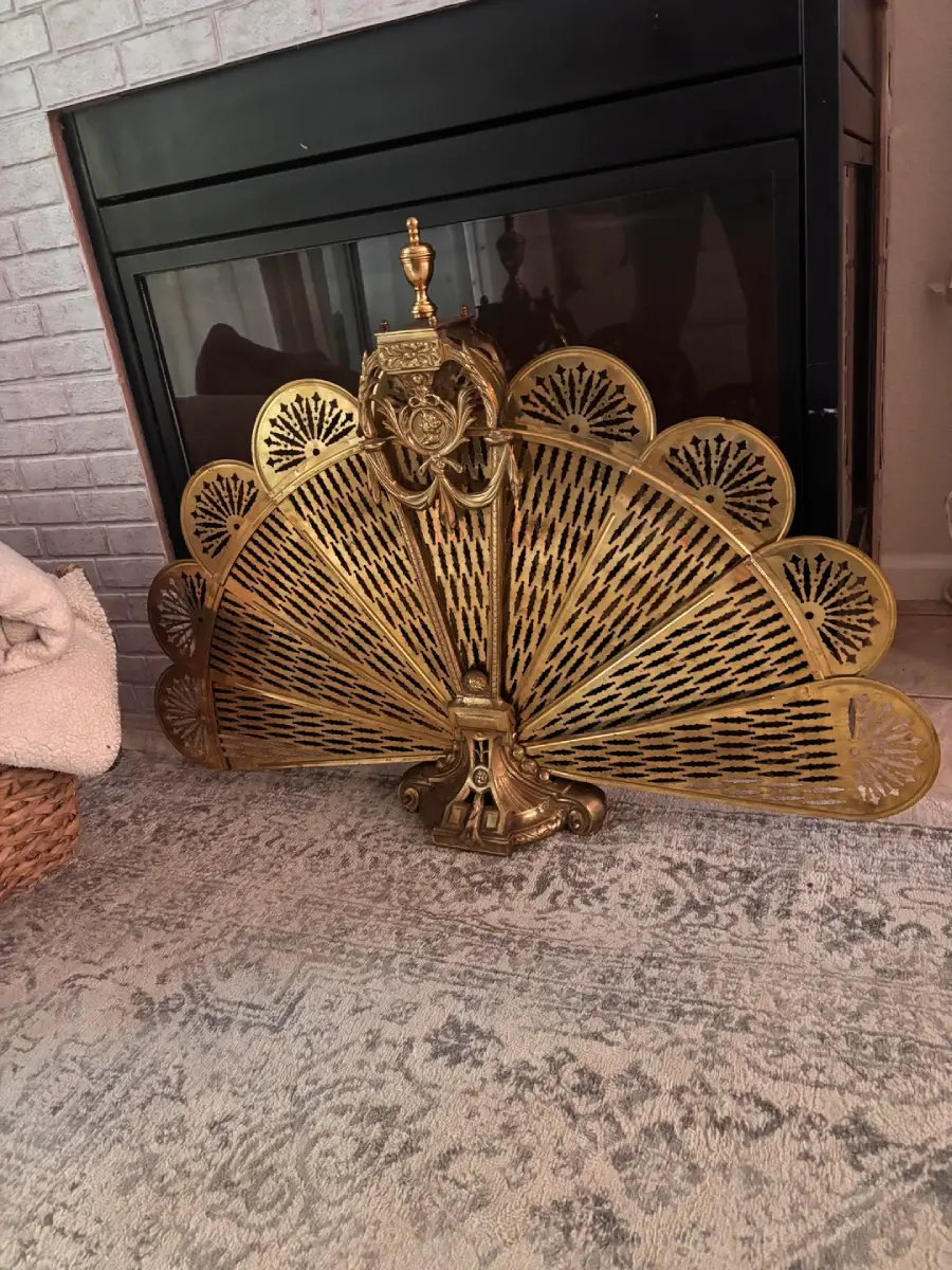 A decorative brass fireplace screen with a fan-shaped, ornate design sits on a patterned rug in front of a dark, closed fireplace.