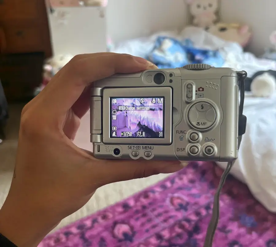 A person holds a silver digital camera, with its screen displaying a photo preview. The background shows a bed, plush toys, and a purple rug in a cozy bedroom.