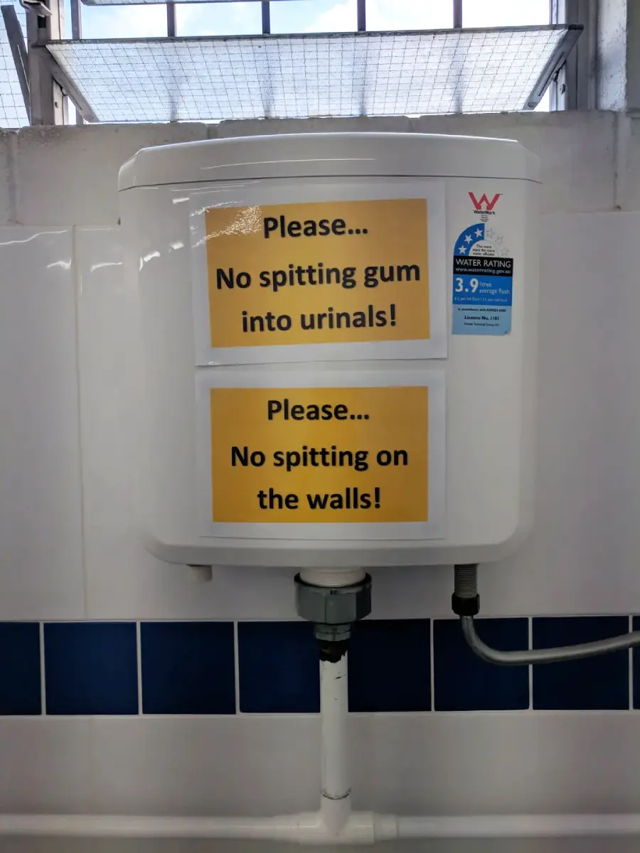 A toilet cistern with two yellow signs: "Please... No spitting gum into urinals!" and "Please... No spitting on the walls!" Blue tiles and a window are in the background.