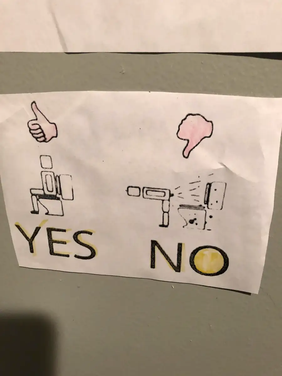A sign shows a thumbs up above a person sitting on a toilet with “YES” and a thumbs down above someone squatting on a toilet seat with “NO.”
