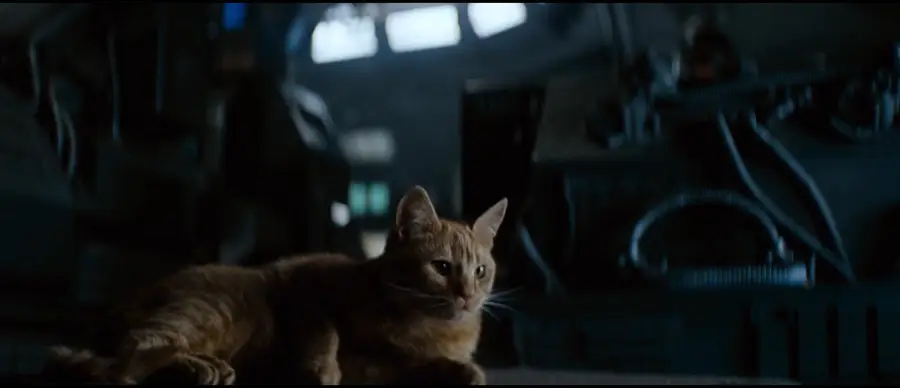 A ginger tabby cat lies on the floor in a dimly lit, futuristic, industrial-looking room, surrounded by machinery and shadows.