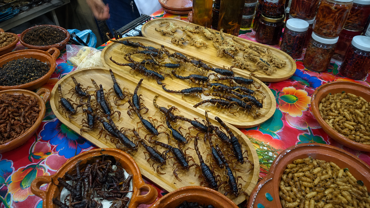 Various edible insects, including large black and yellow scorpions, are displayed on wooden trays at a vibrant market stall with colorful floral tablecloth and jars of preserved foods in the background.