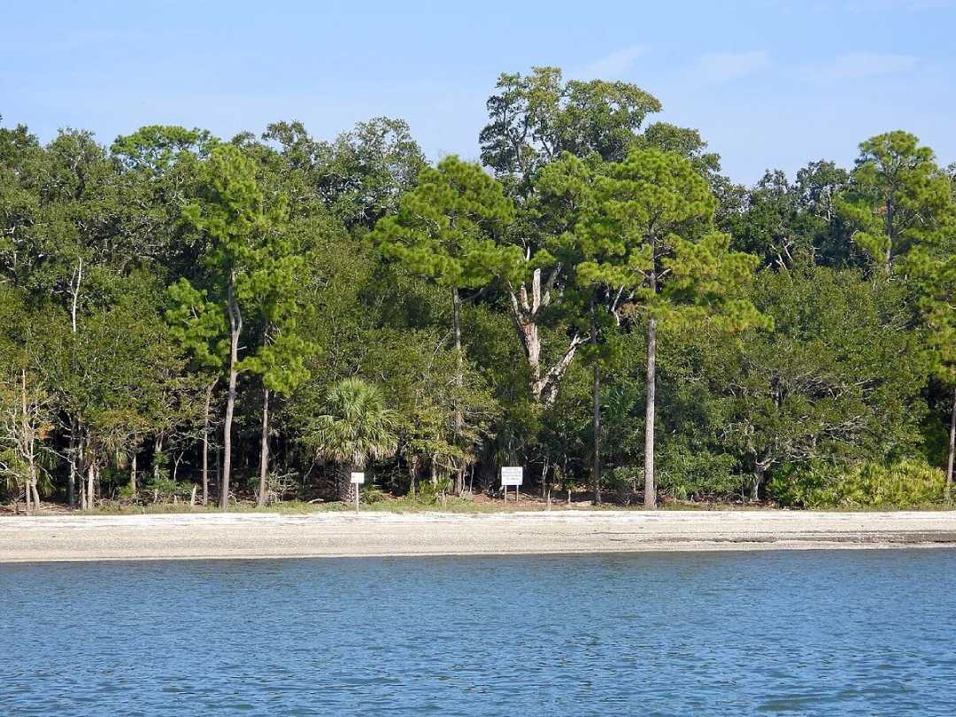 A sandy shoreline with calm blue water in the foreground and a dense forest of green trees in the background. Two white signs are visible near the edge of the trees. The sky is clear and blue.
