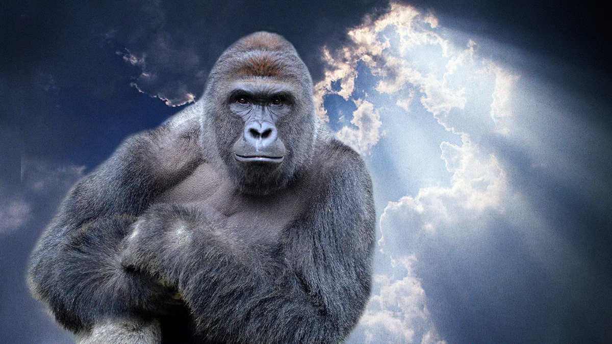 A gorilla sits with arms crossed, looking forward, against a dramatic cloudy sky with sunlight streaming through an opening in the clouds.