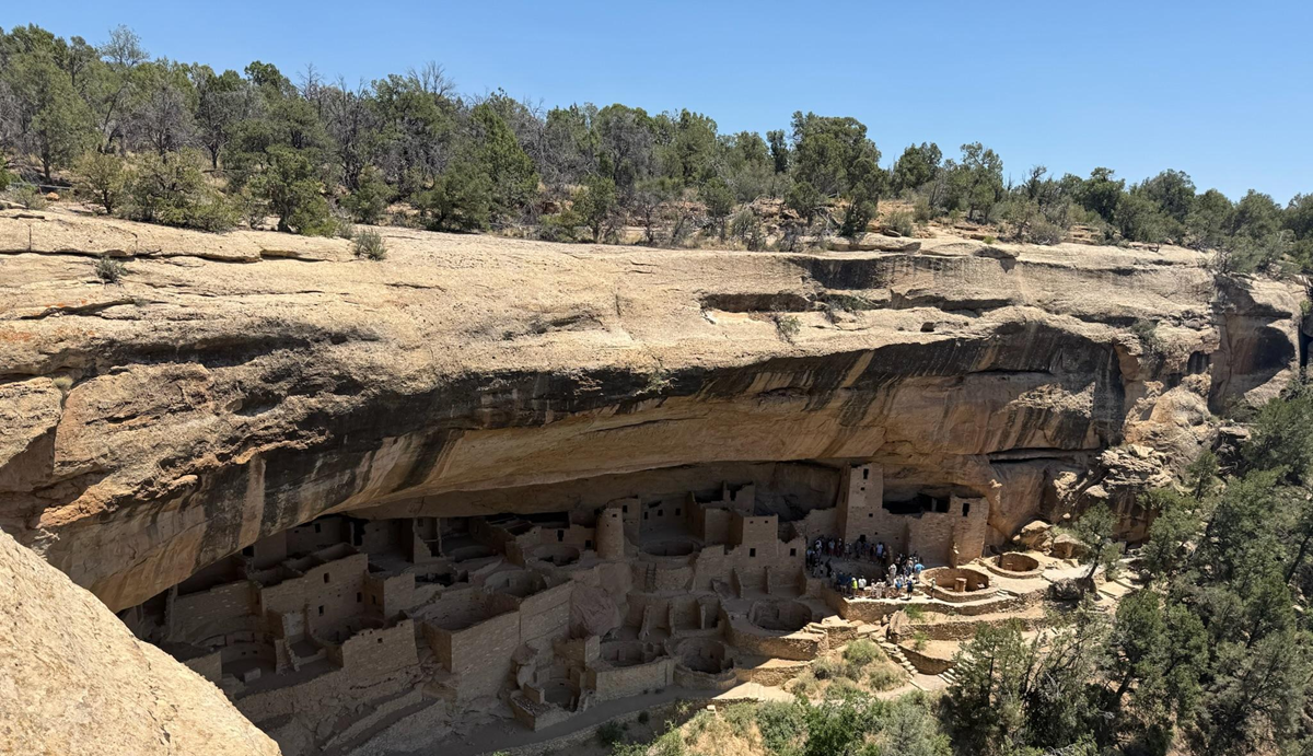 Ancient cliff dwellings built into the side of a large rock formation, surrounded by trees and brush under a clear blue sky.