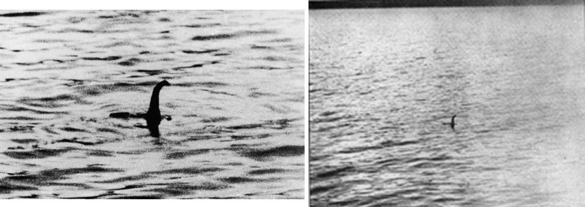 Two black and white photos of a lake with rippling water, each showing a dark, upright object that looks like a creature's neck or head emerging from the surface.