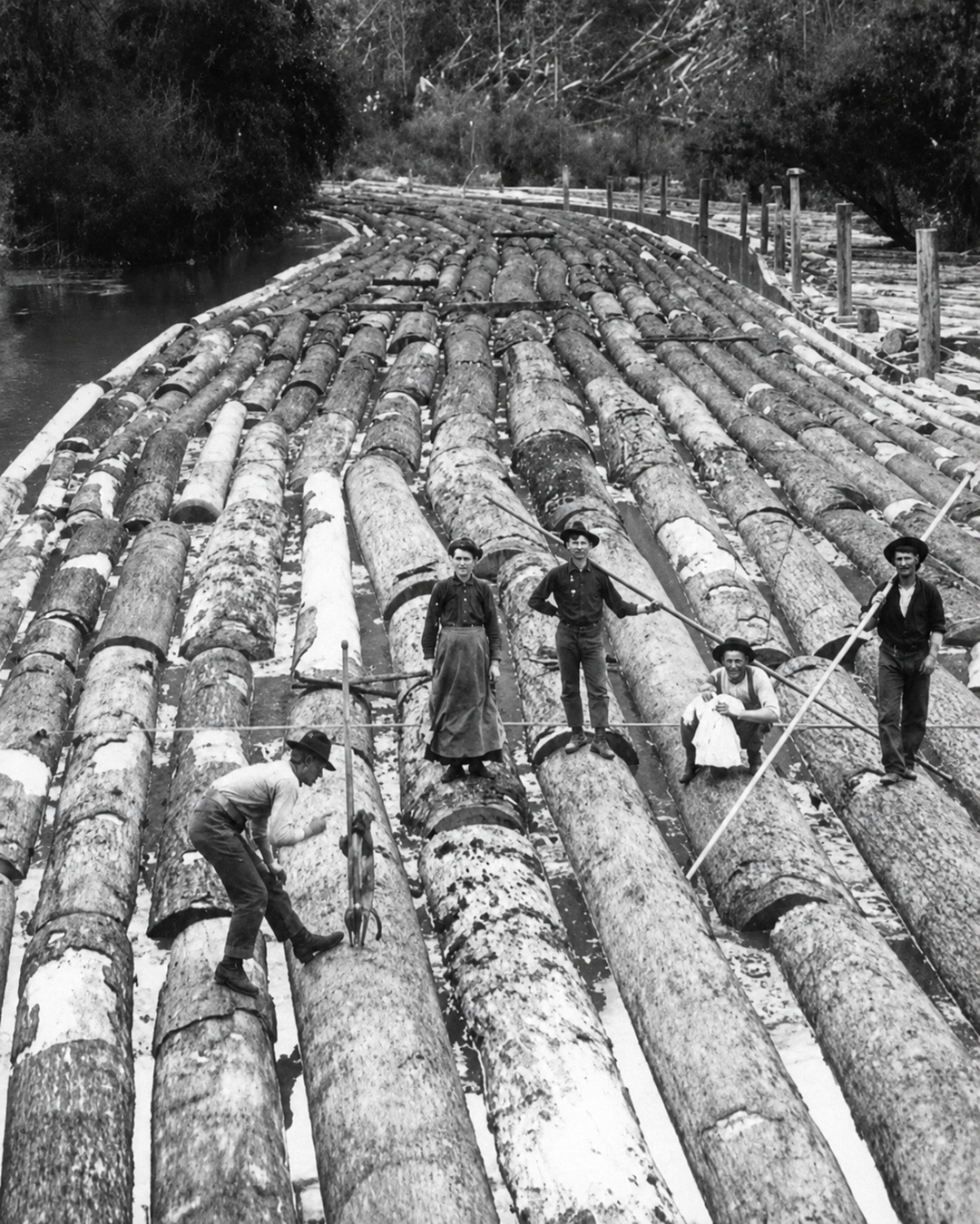 Five people stand on large floating logs, arranged side by side on a river. Some hold long poles, and a dog is present with one person in the foreground. Trees and water are visible in the background.