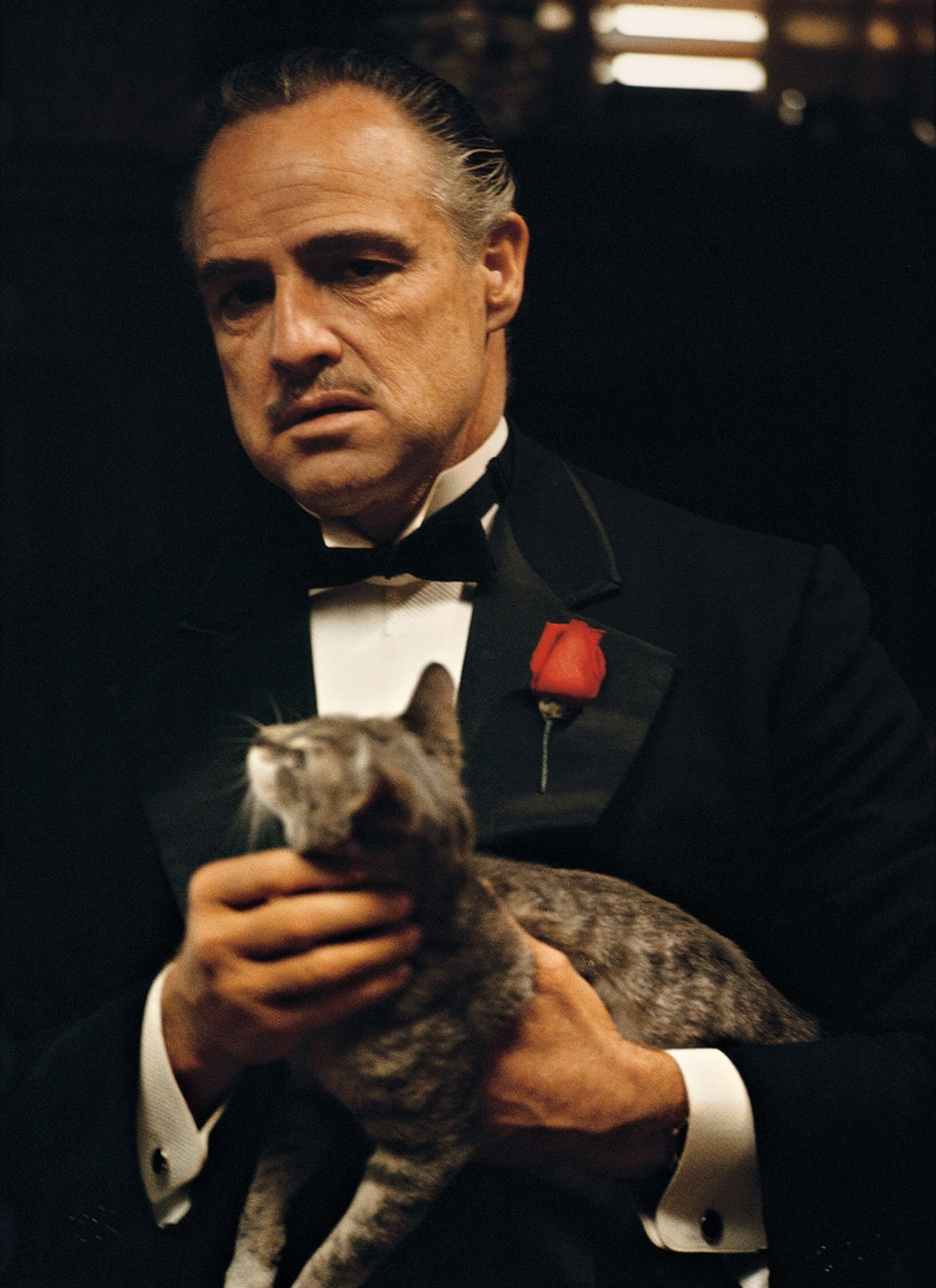 Movie. The Godfather.