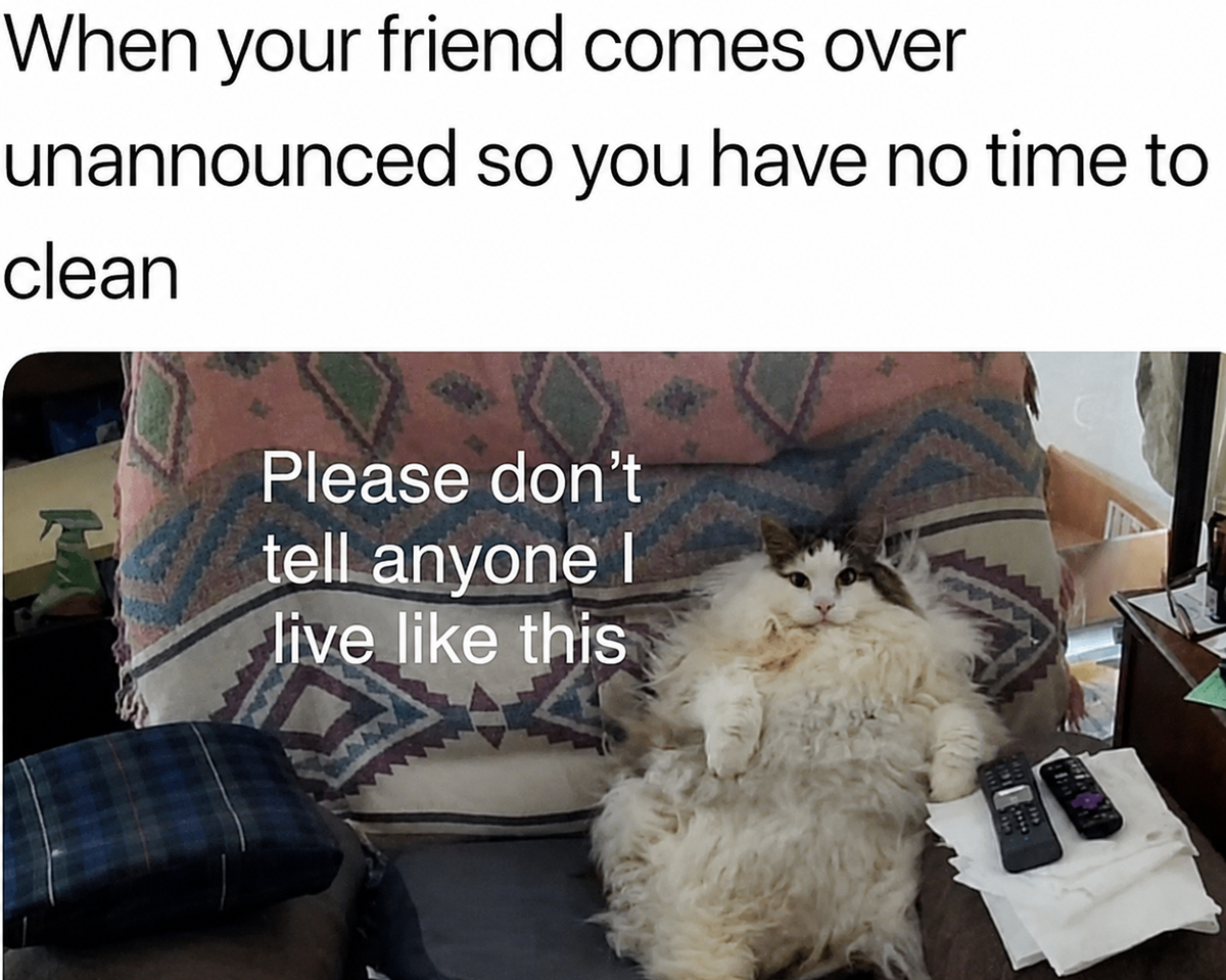 A fluffy cat sits on a messy armchair with remotes nearby. Text reads: "When your friend comes over unannounced so you have no time to clean. Please don’t tell anyone I live like this.